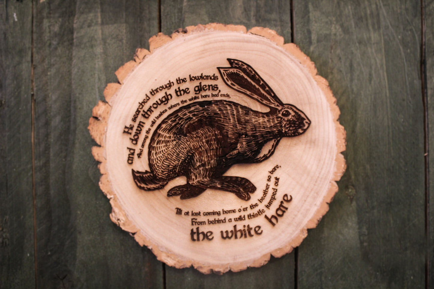 White Hare Log Slice