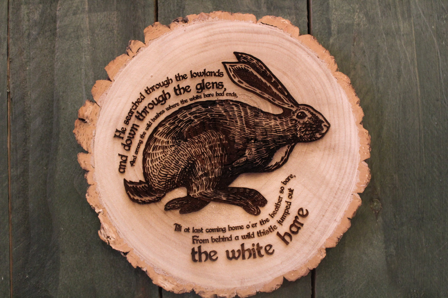 White Hare Log Slice