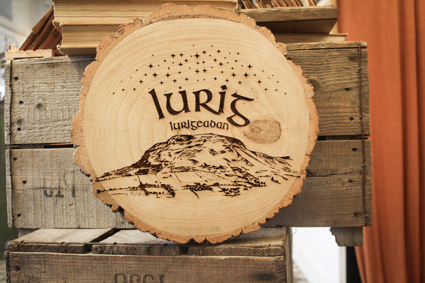 Lurig Mountain Log Slice