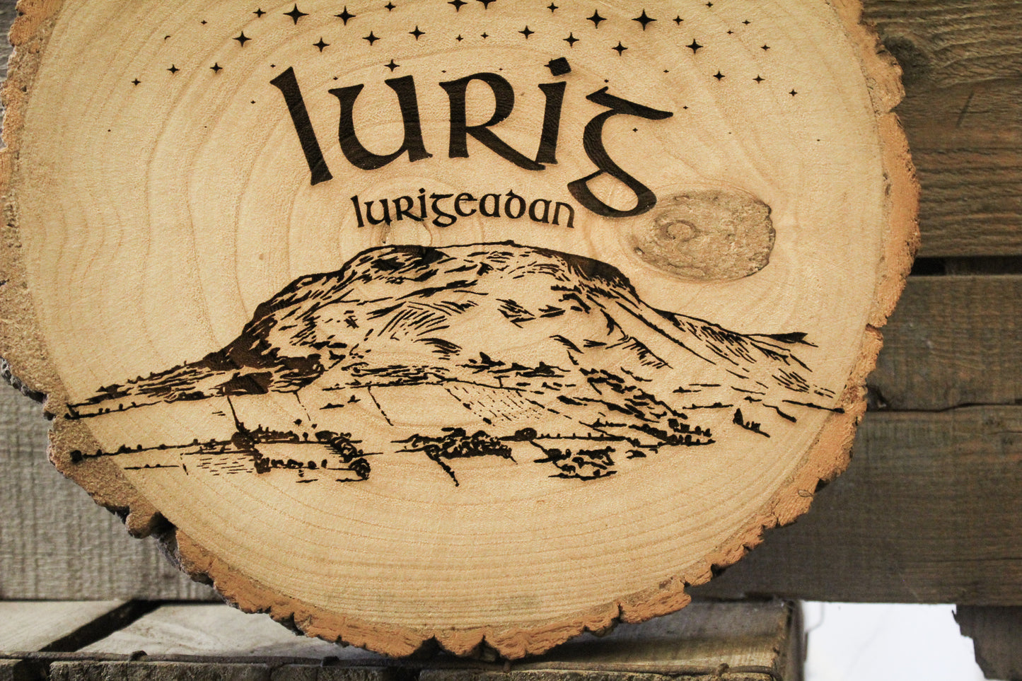 Lurig Mountain Log Slice