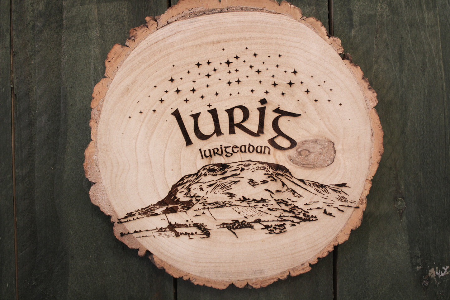 Lurig Mountain Log Slice