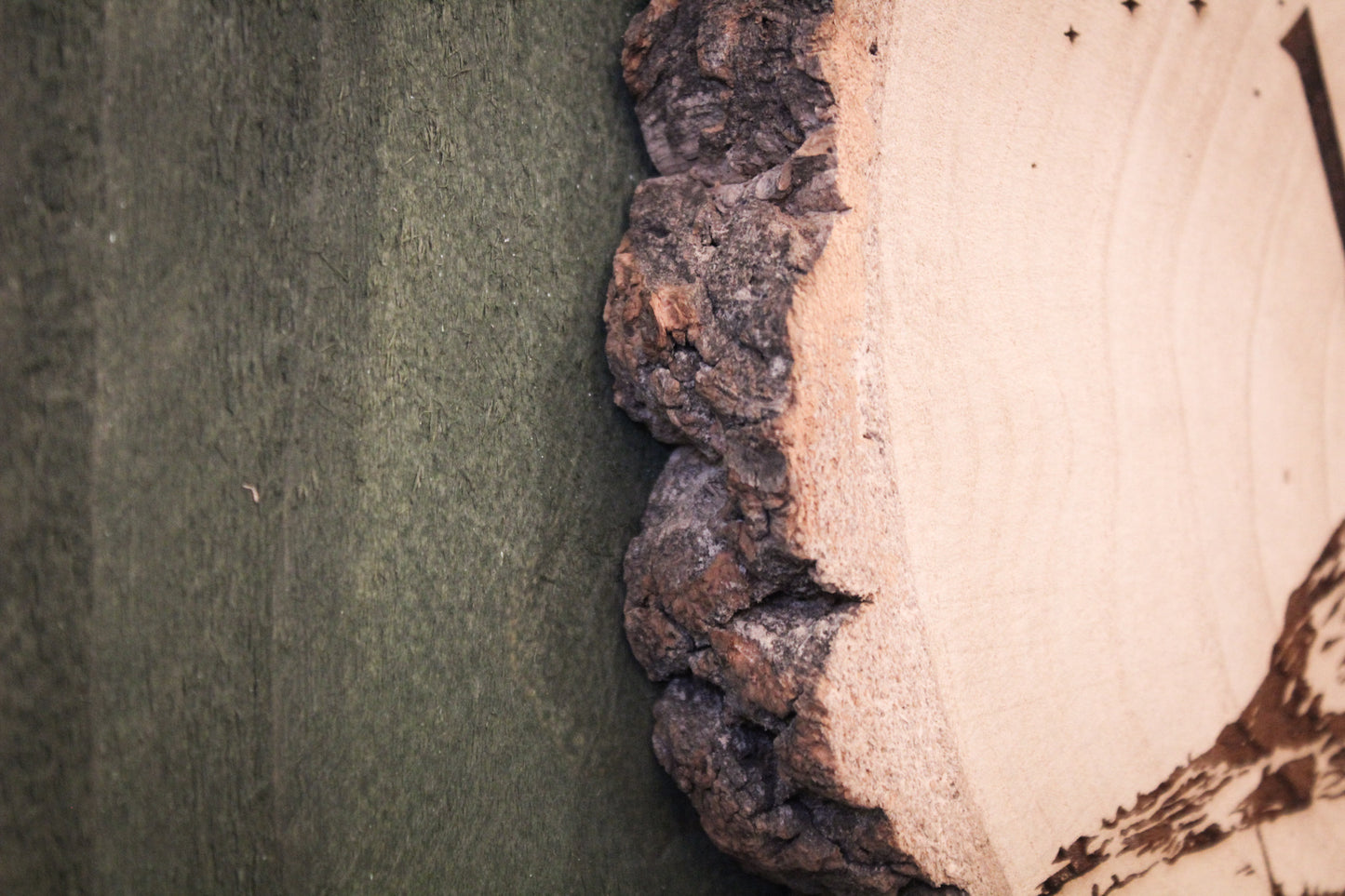 Lurig Mountain Log Slice
