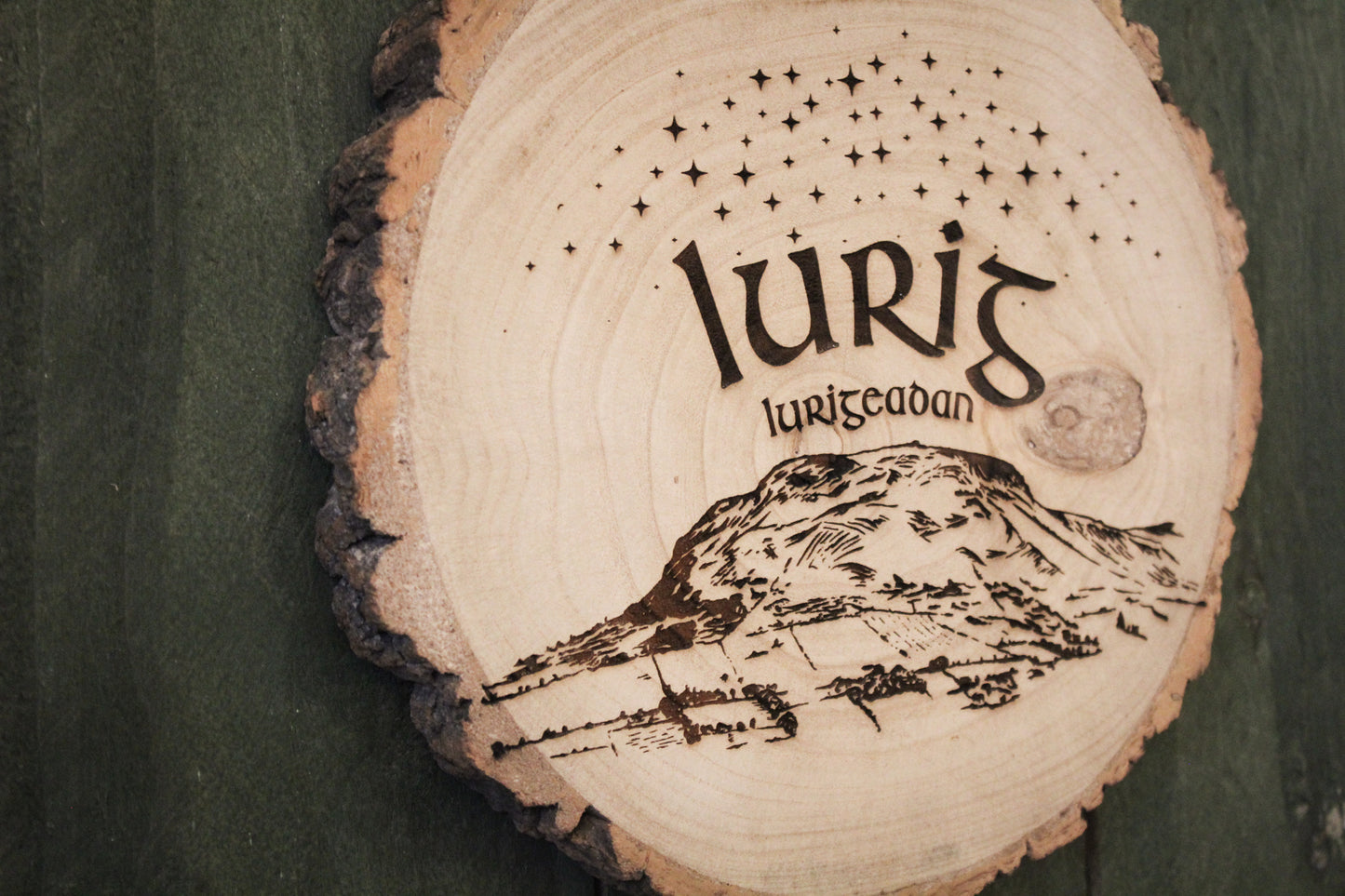 Lurig Mountain Log Slice