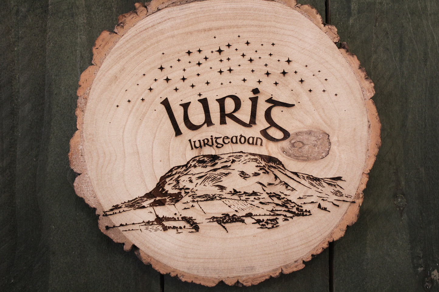 Lurig Mountain Log Slice