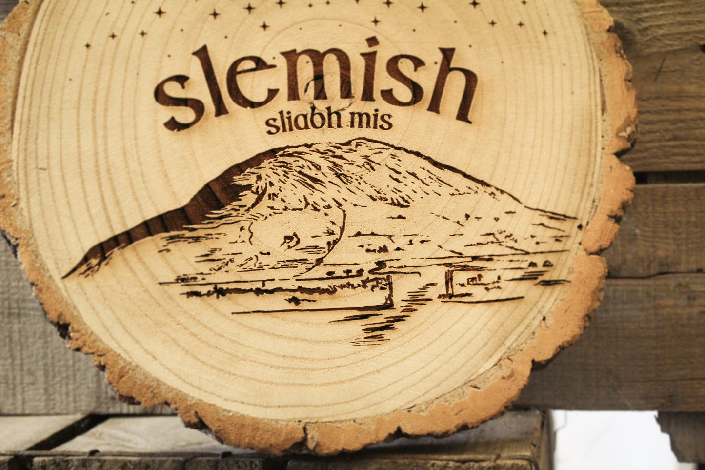 Slemish Mountain Log Slice