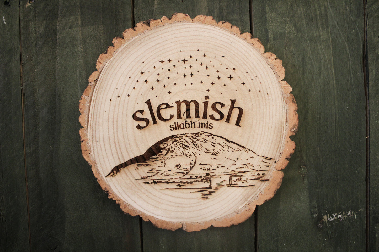 Slemish Mountain Log Slice