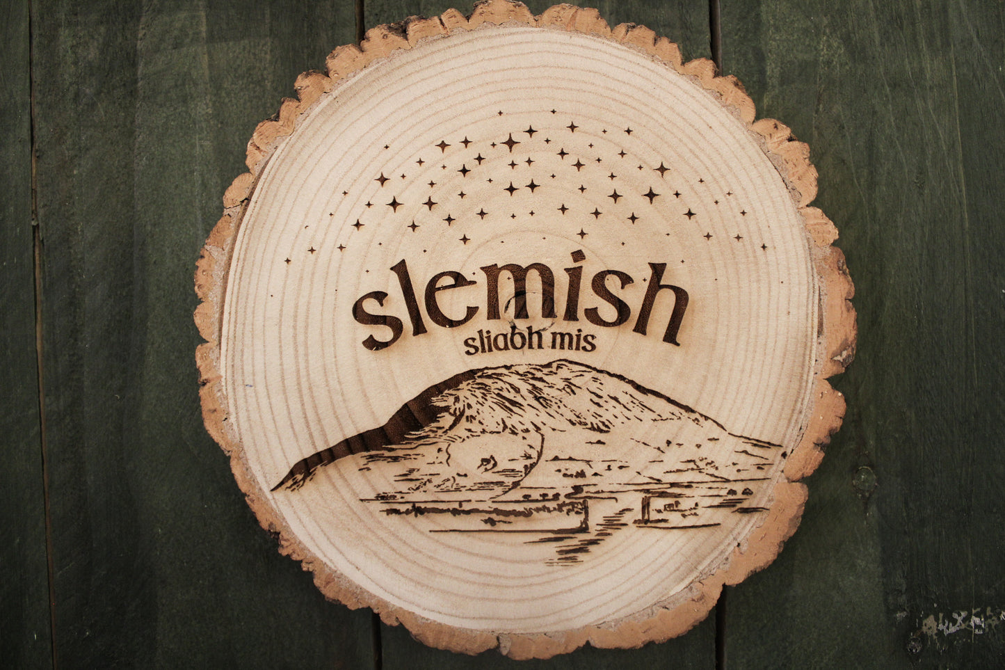Slemish Mountain Log Slice