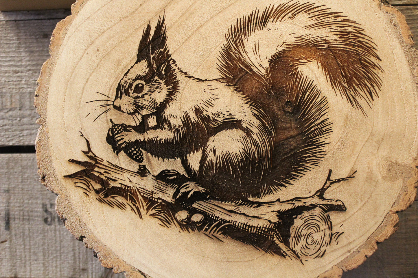 Red Squirrel Log Slice