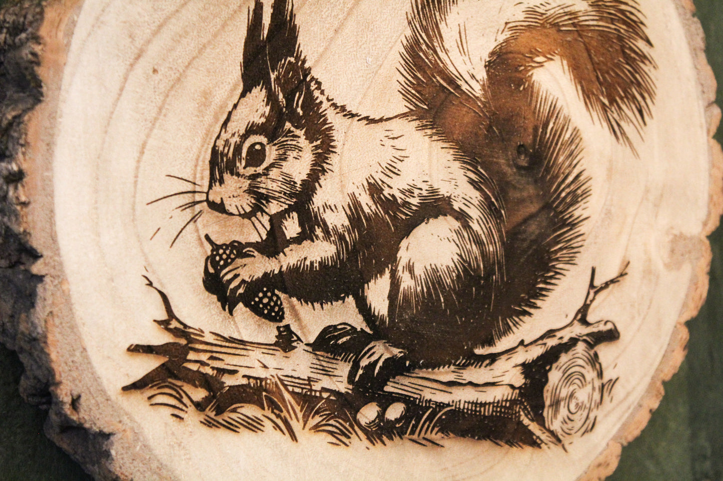 Red Squirrel Log Slice