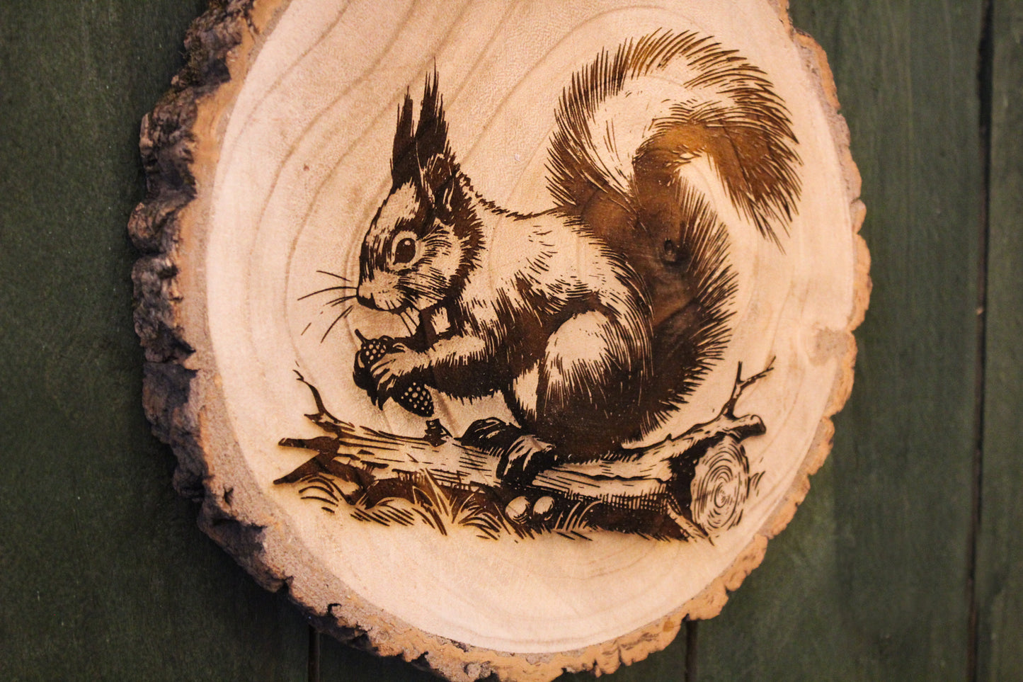 Red Squirrel Log Slice