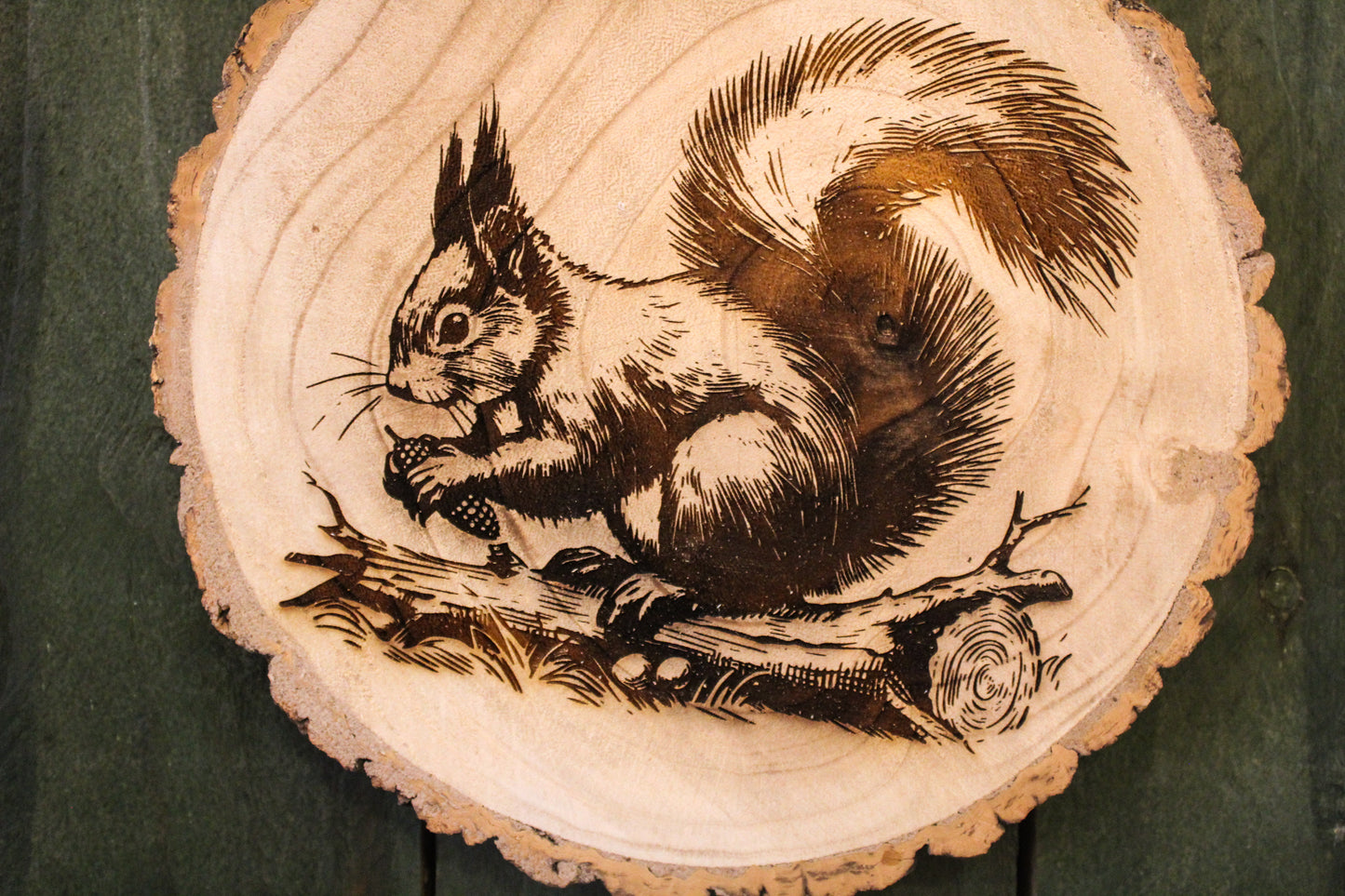 Red Squirrel Log Slice