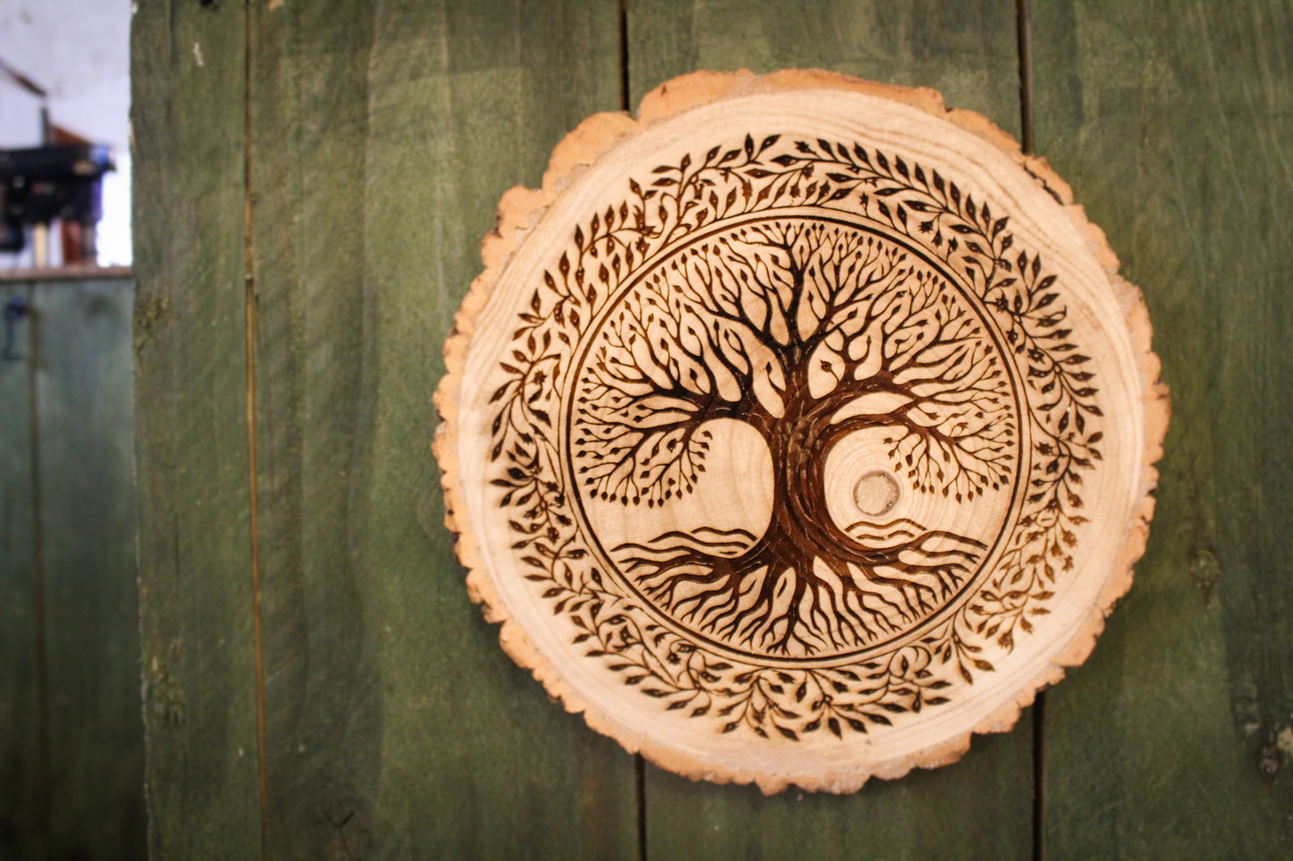 Tree Of Life Log Slice