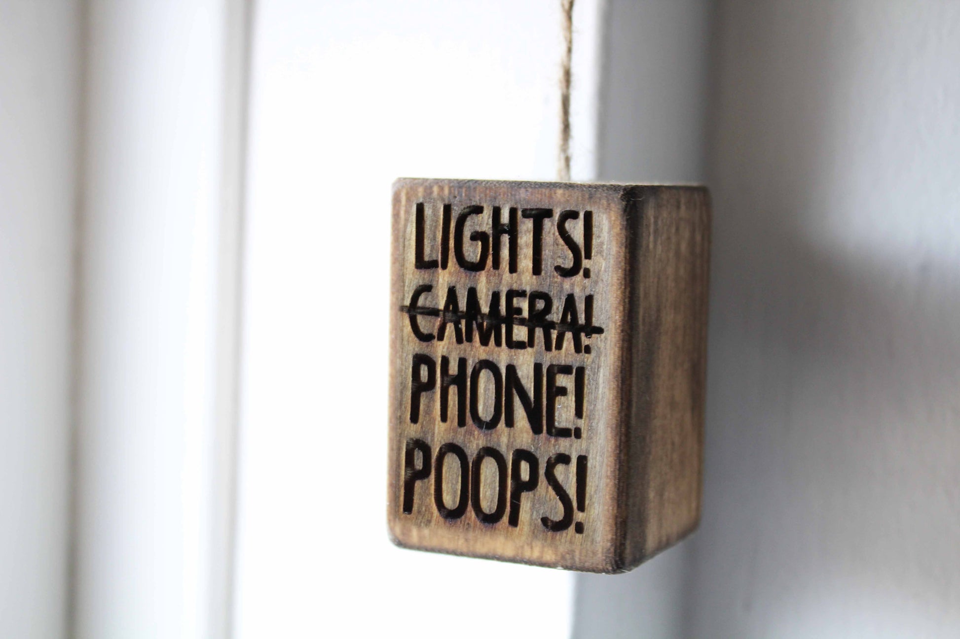 Lights! Phone! Poops! Light Pull image 1