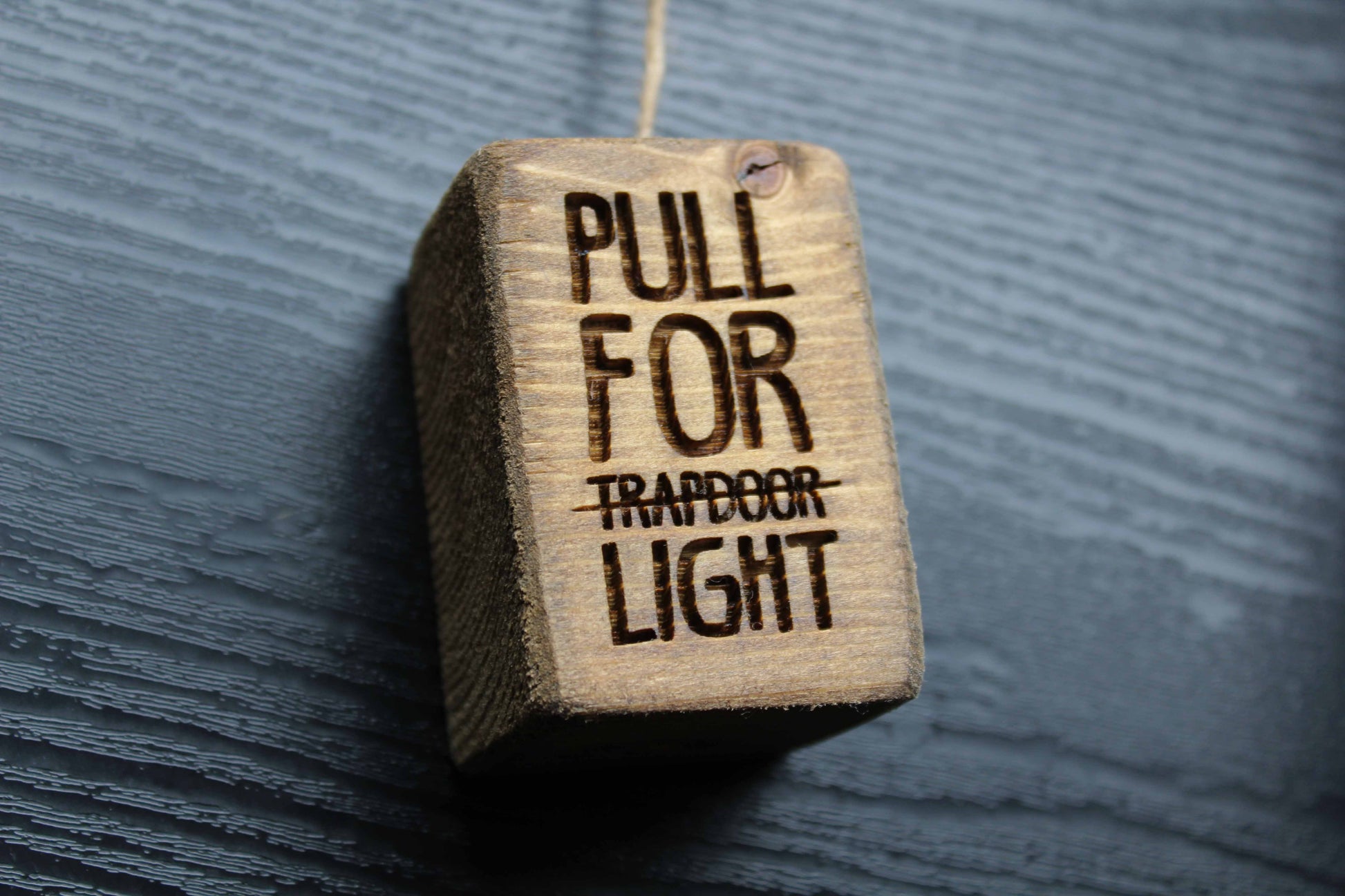 Trapdoor Light Pull image 3
