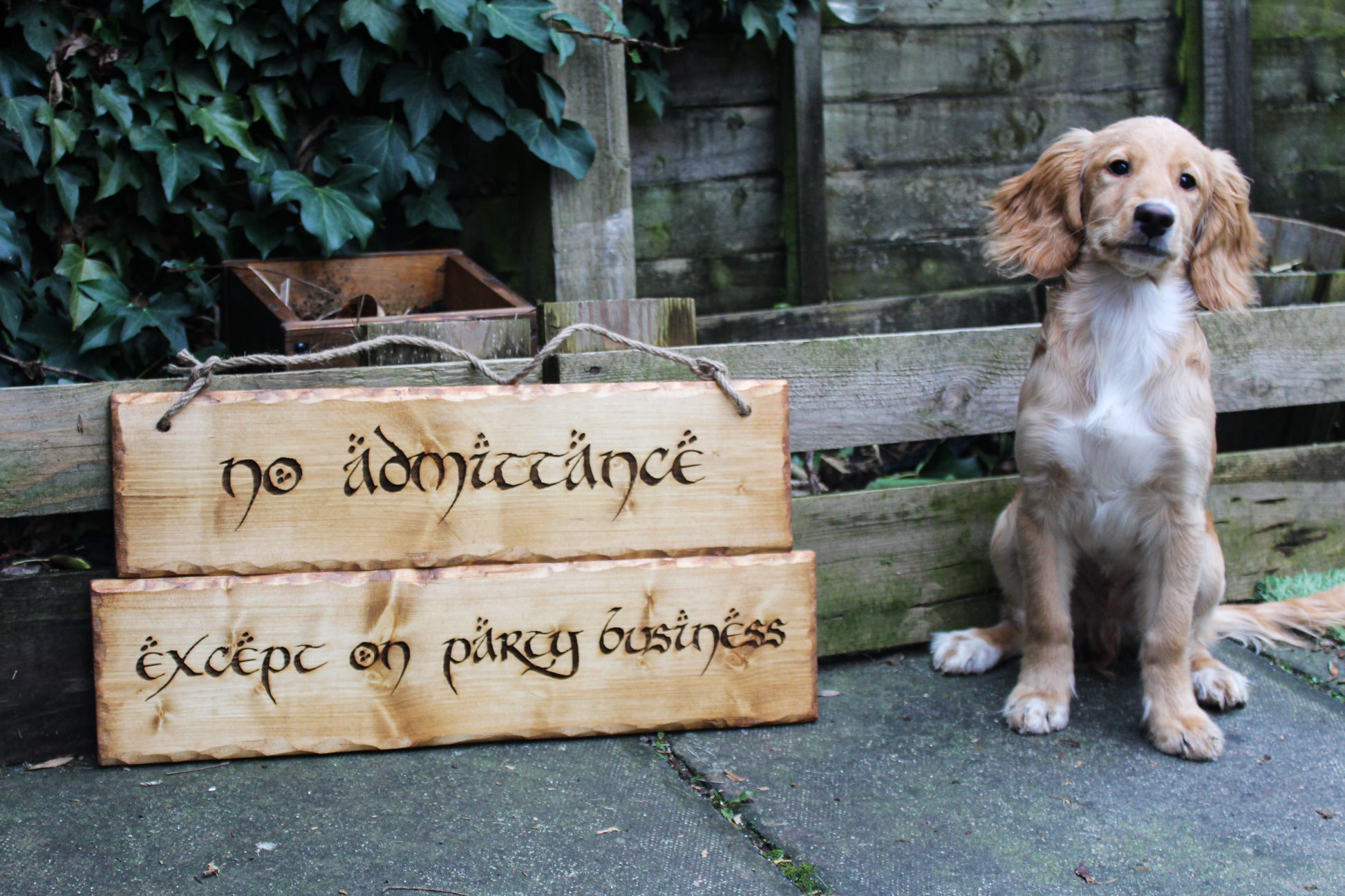 Large No Admittance Sign image 3