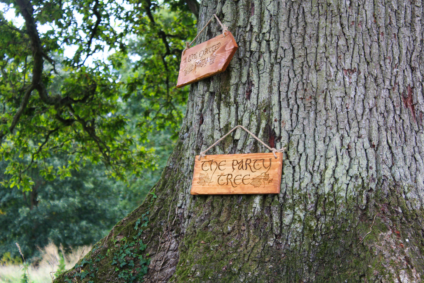 The Party Tree Sign image 5