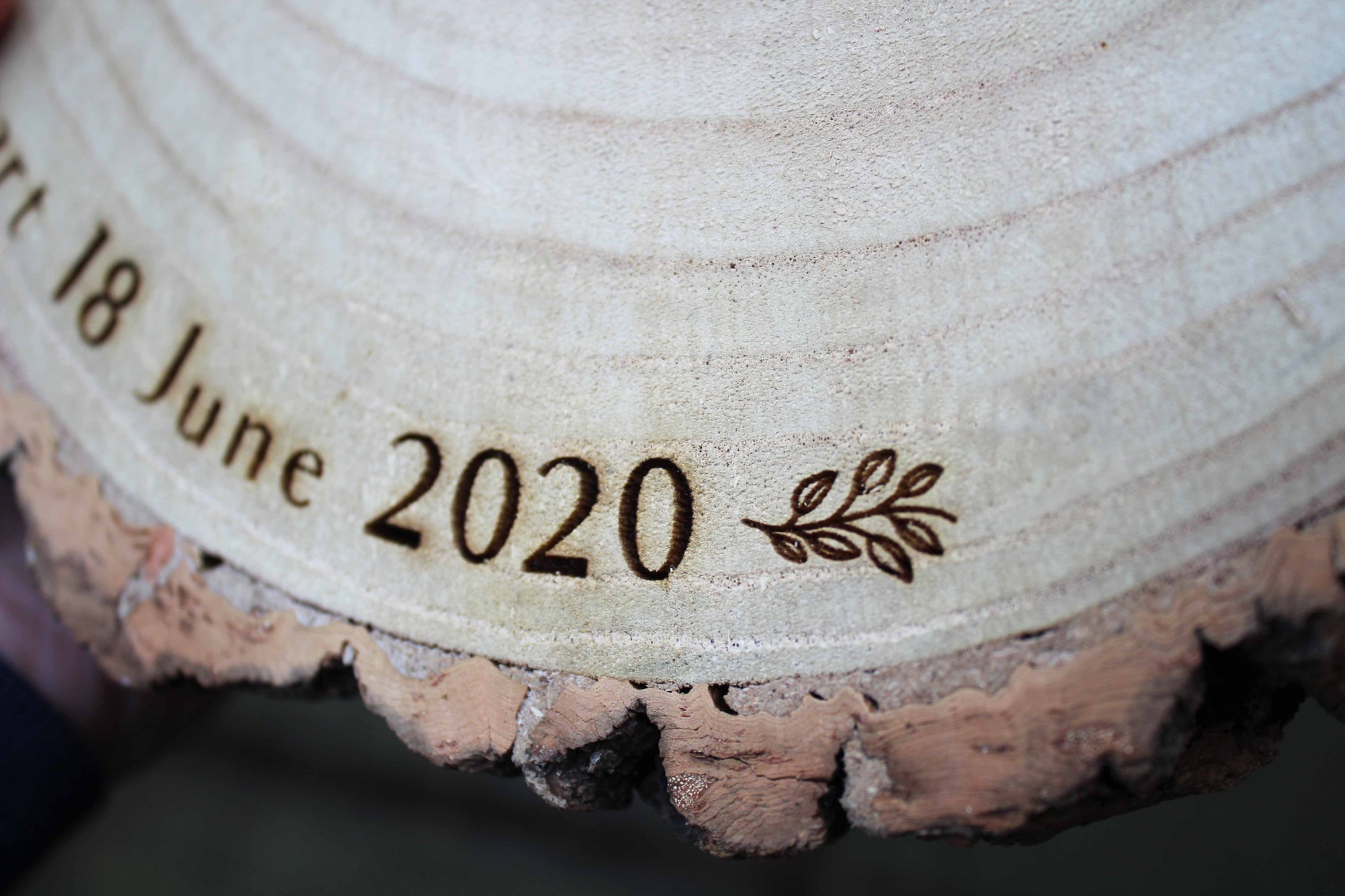 Leaf Log Slice Cake Display image 7