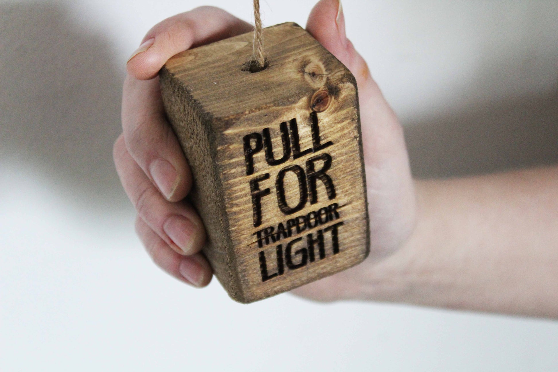 Trapdoor Light Pull image 1