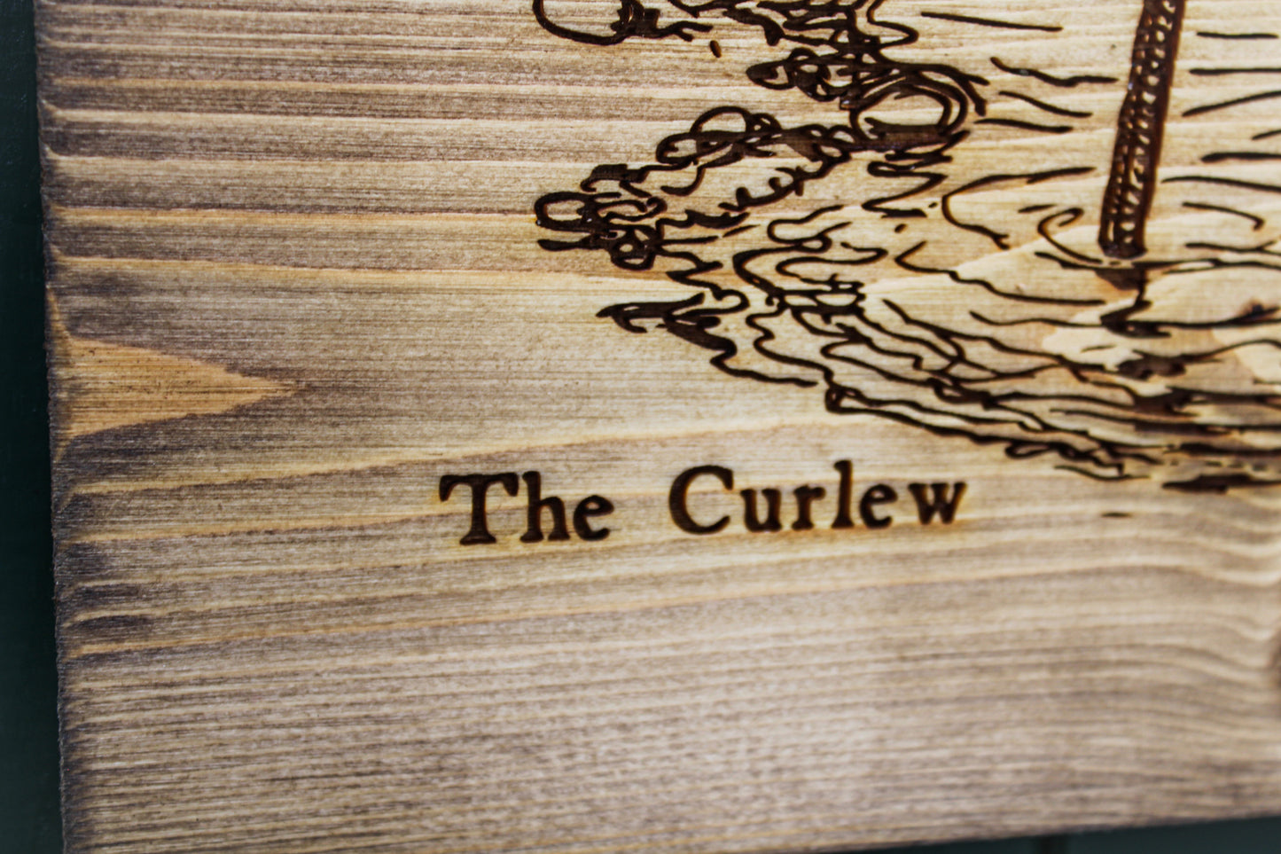 Curlew Panel Art