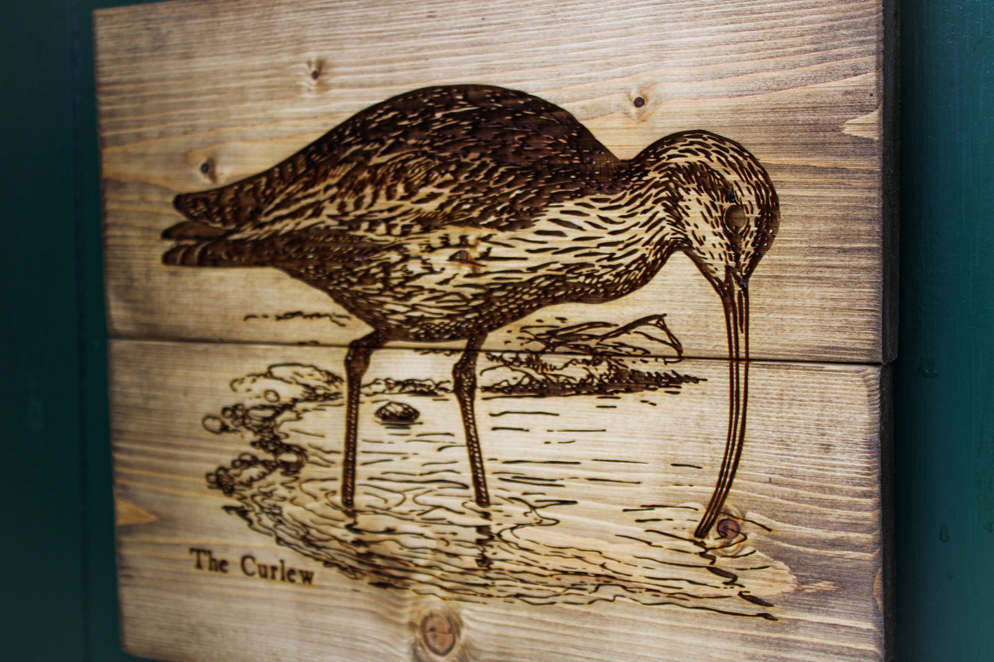 Curlew Panel Art