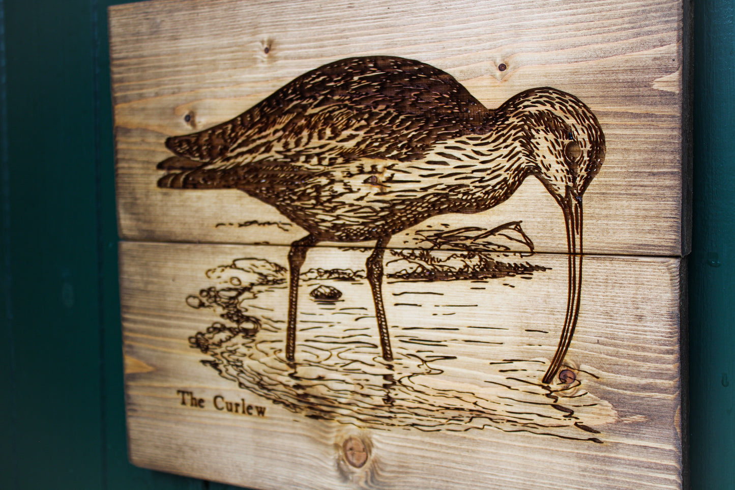 Curlew Panel Art