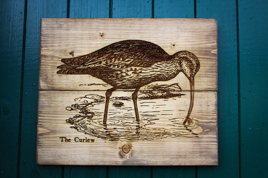Curlew Panel Art
