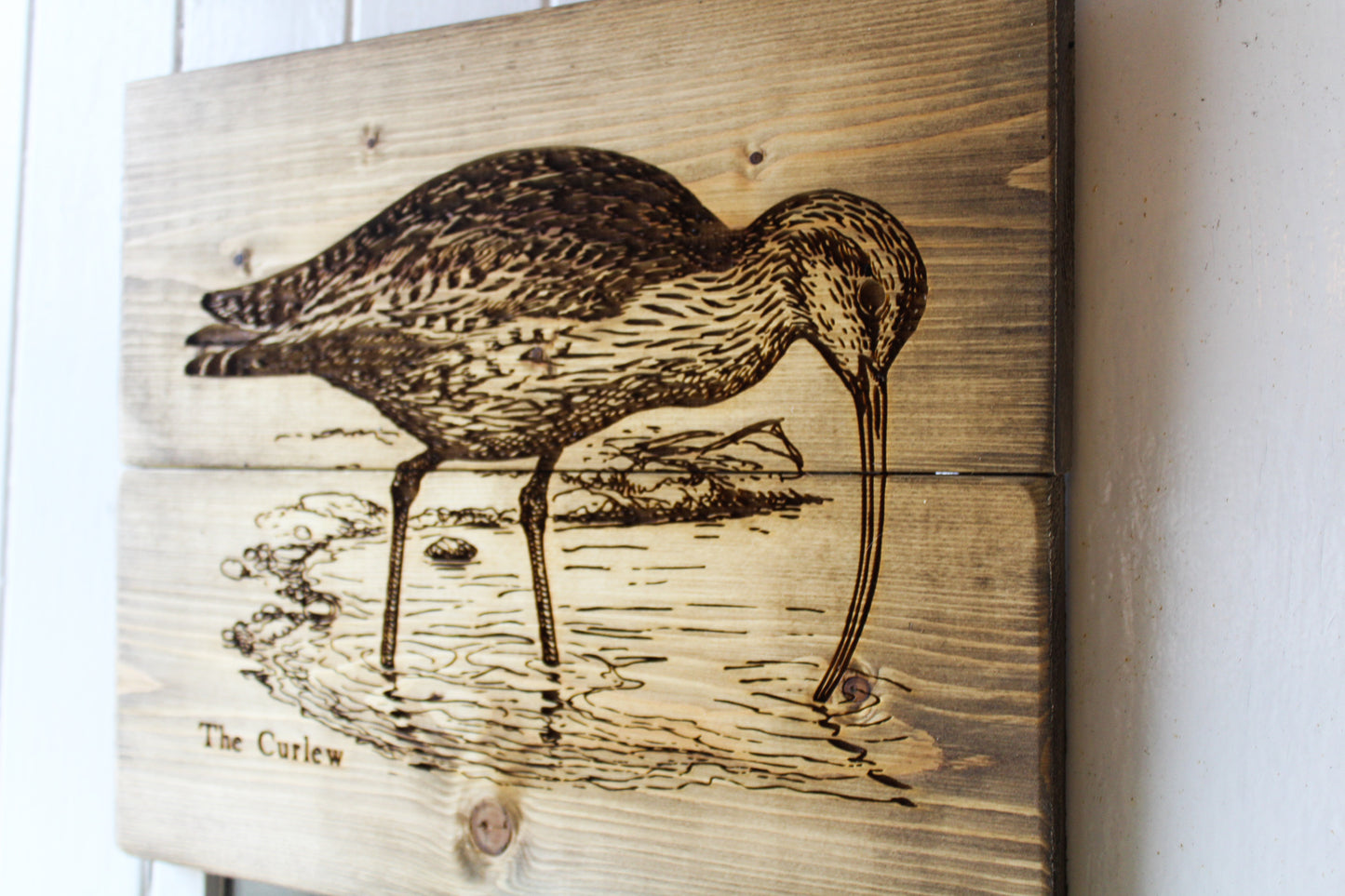 Curlew Panel Art