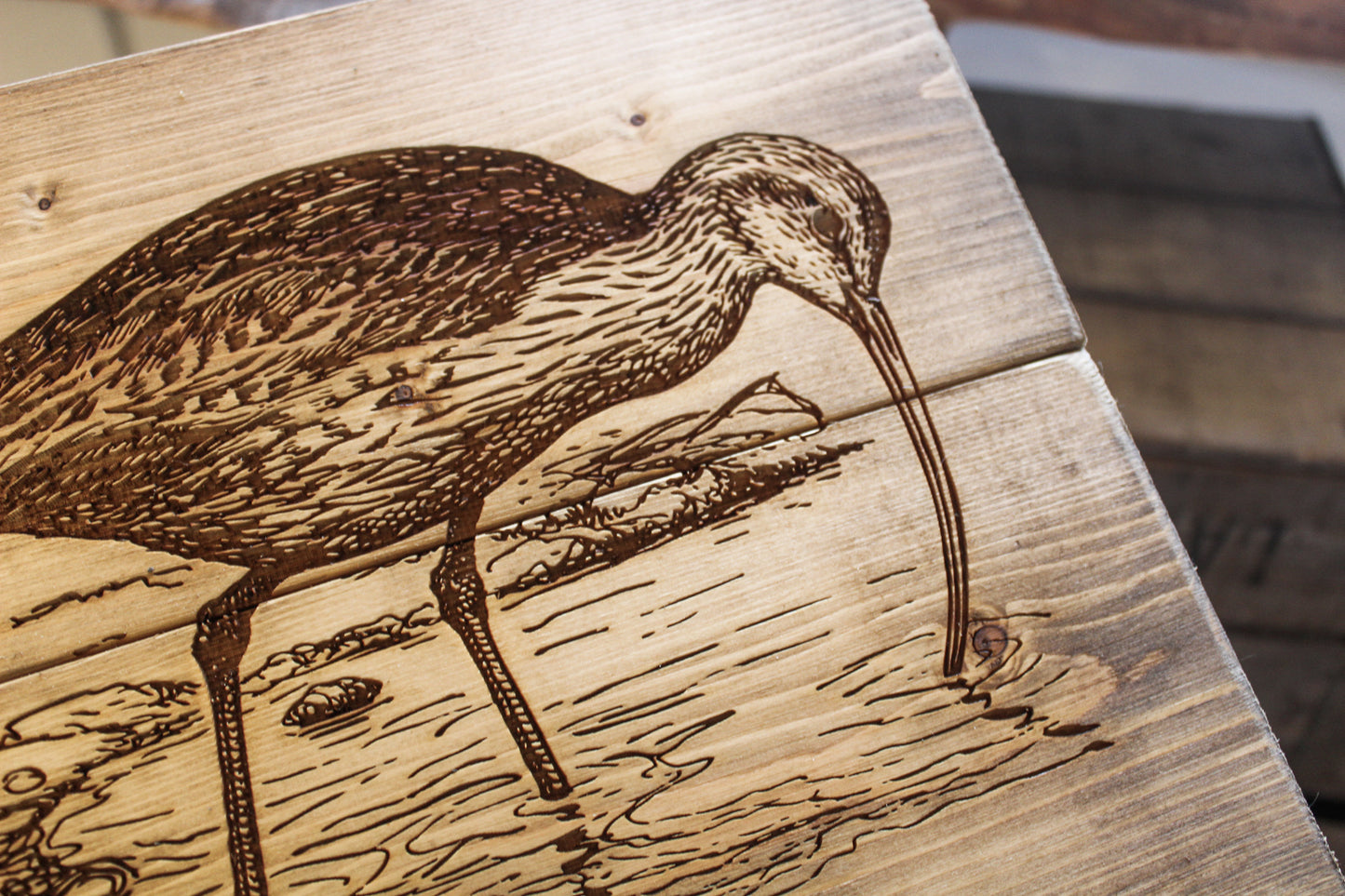 Curlew Panel Art