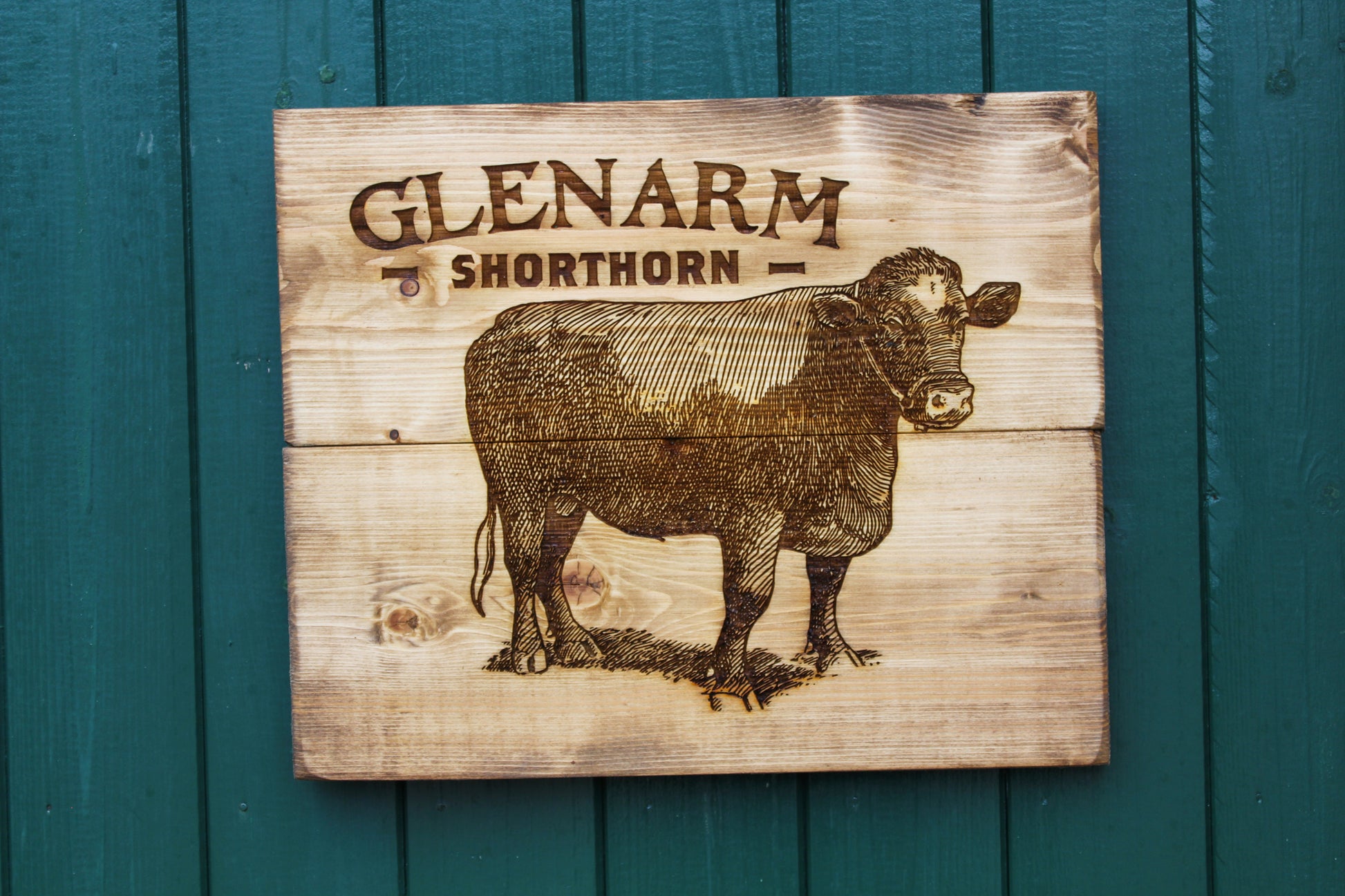 Glenarm Shorthorn Panel Art image 5