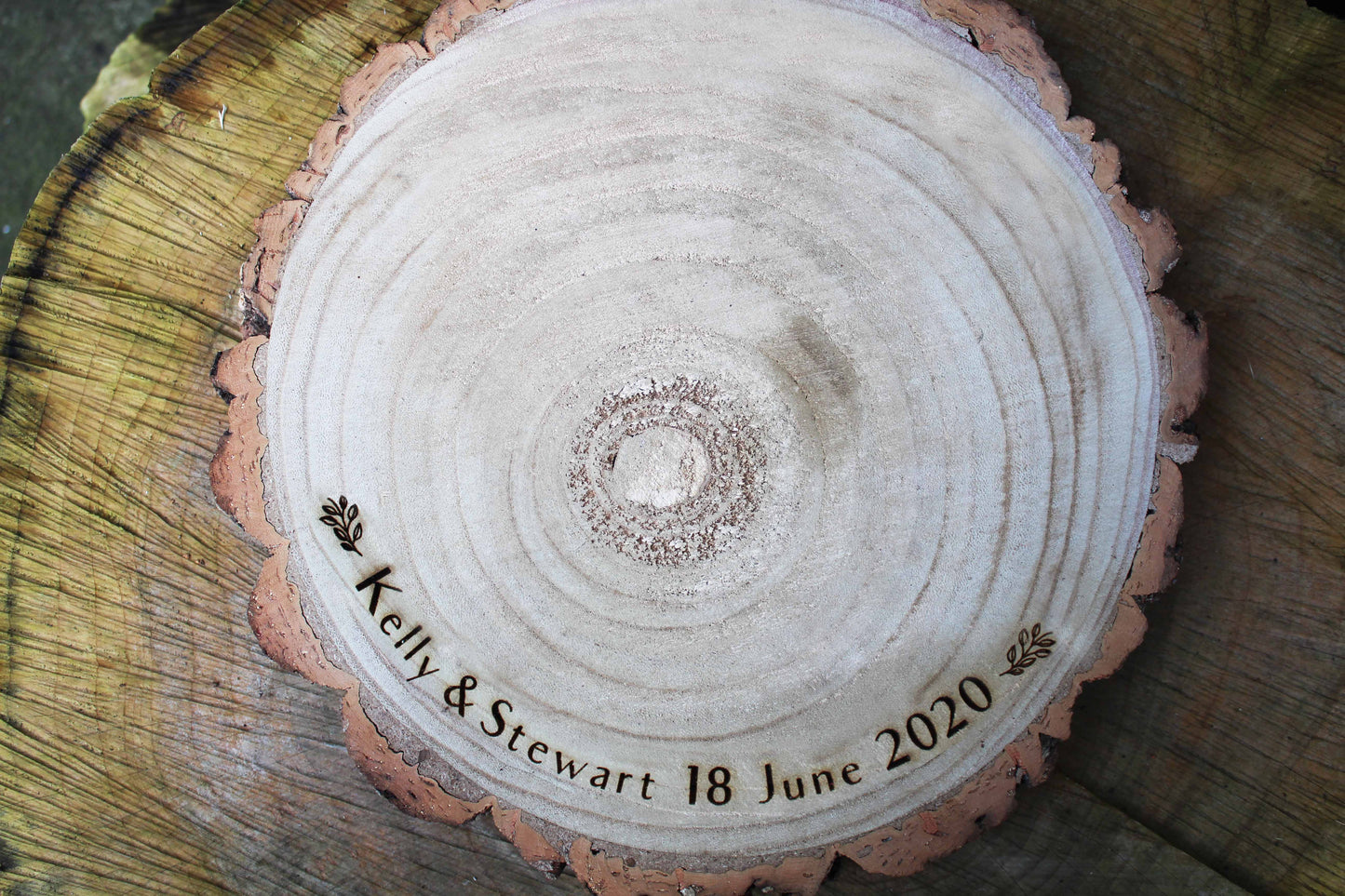 Leaf Log Slice Cake Display image 2