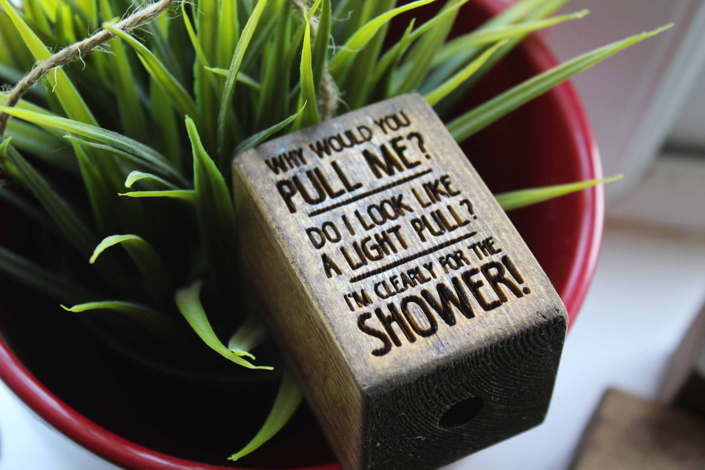 Why Would You Pull Me? Light Pull image 0