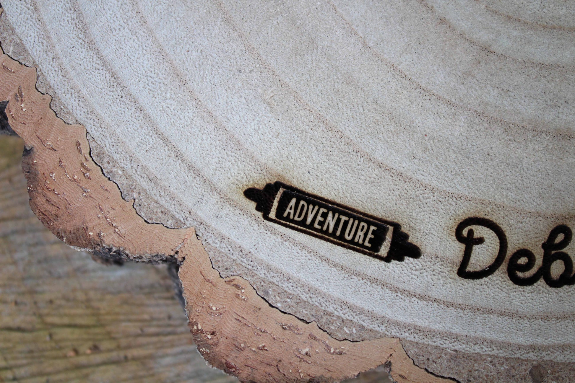 Adventure Log Slice Cake Display image 6