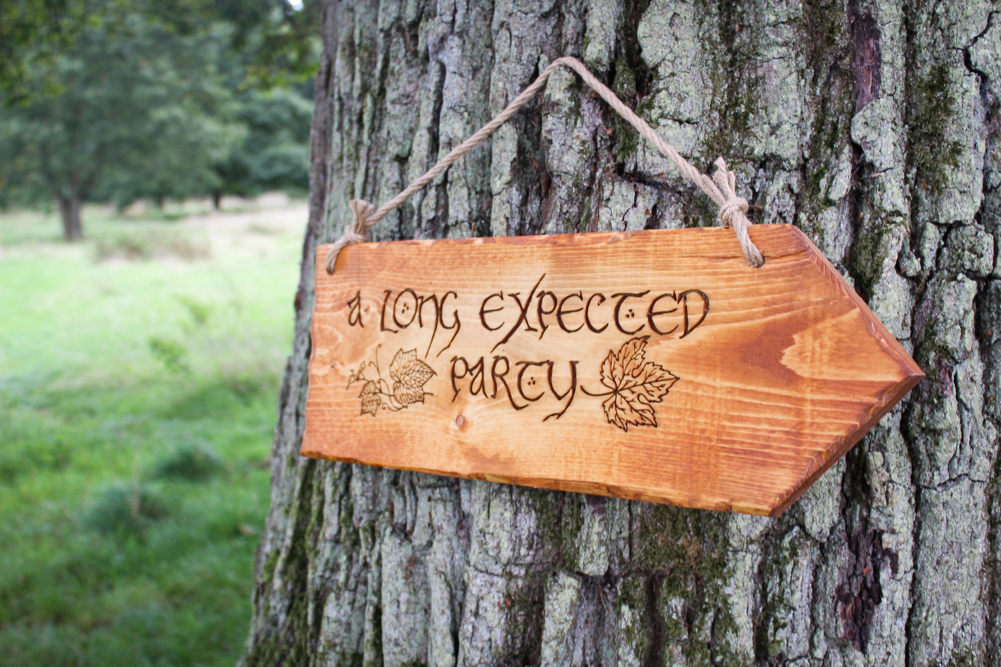 A Long Expected Party Sign image 6