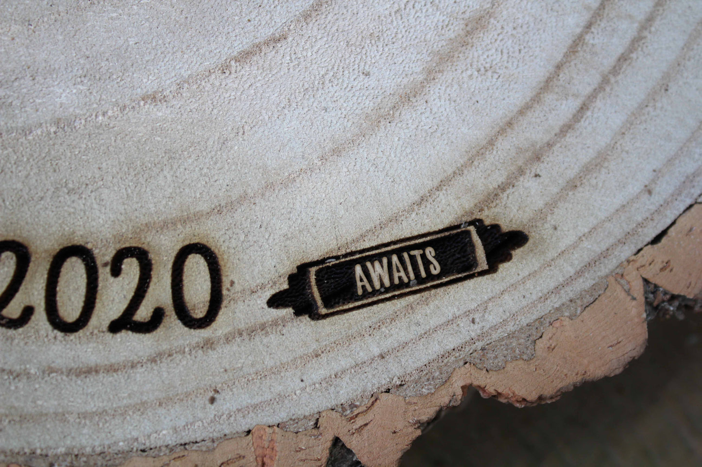 Adventure Log Slice Cake Display image 5