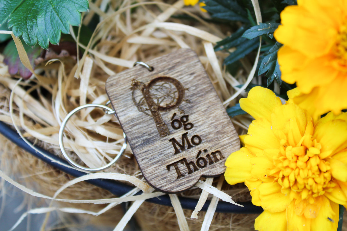 Póg Mo Thóin Keyring image 7