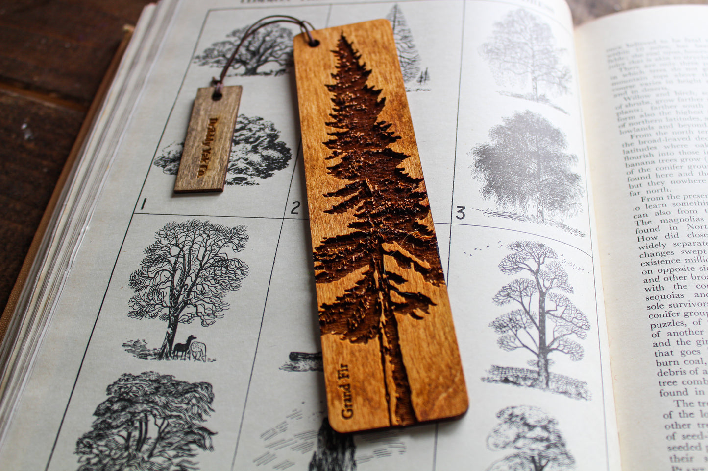 Grand Fir Bookmark image 1