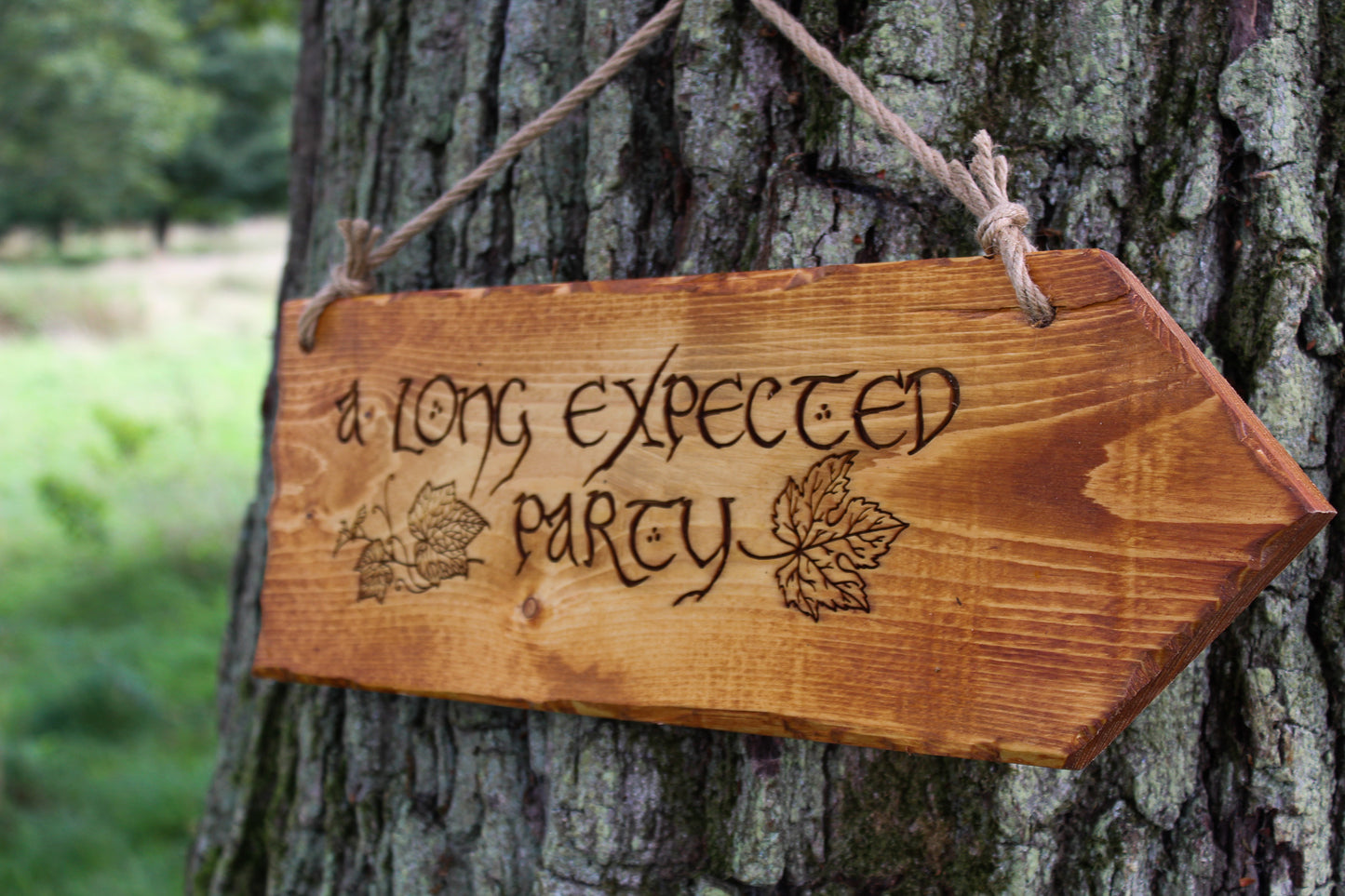 A Long Expected Party Sign image 10