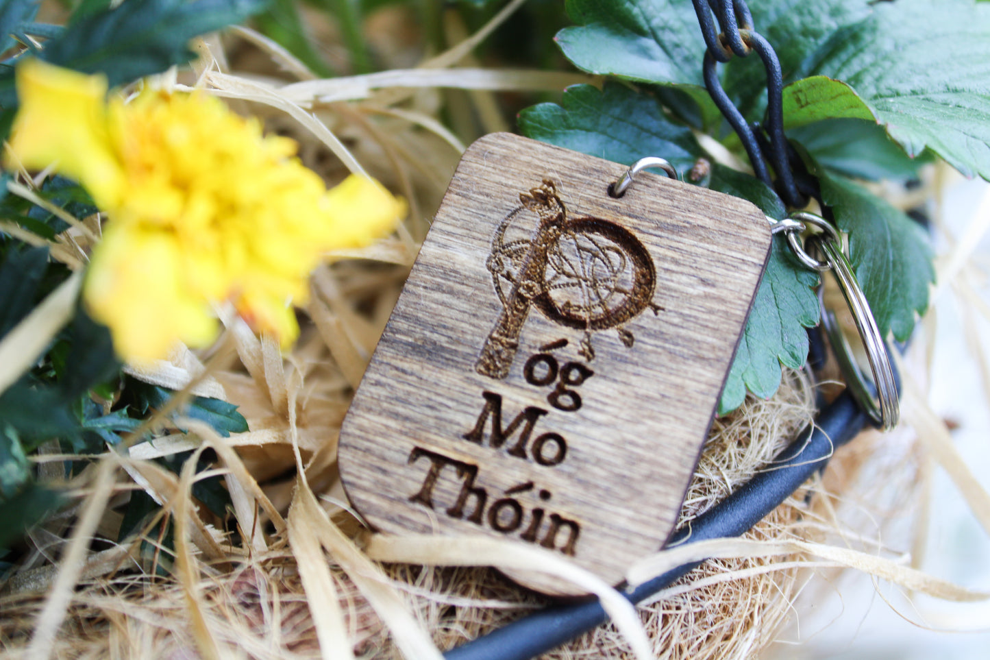 Póg Mo Thóin Keyring image 4