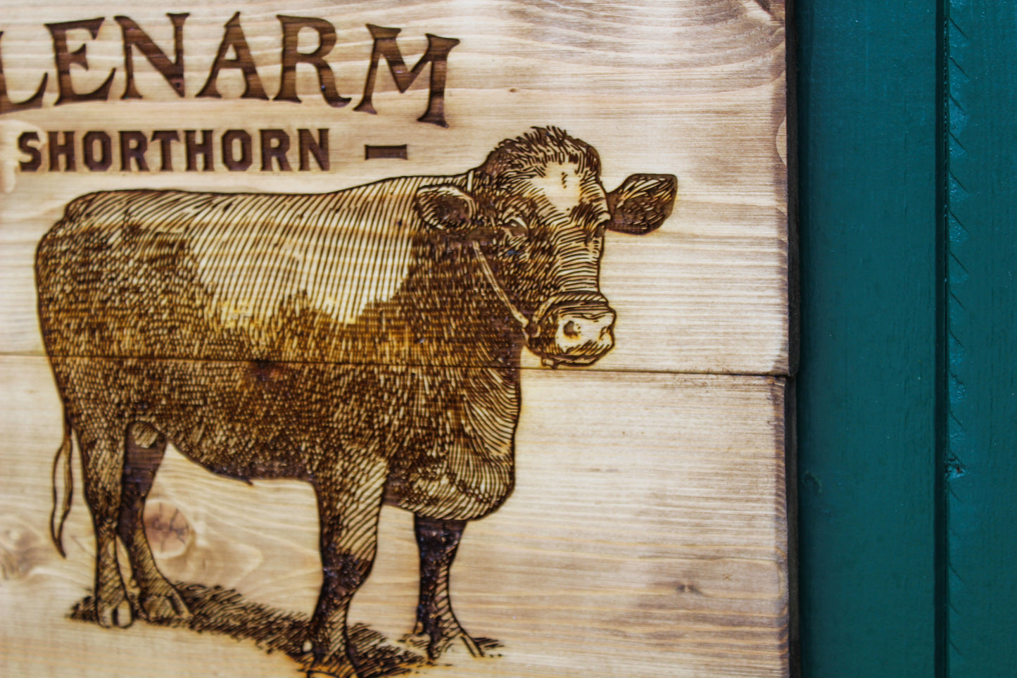 Glenarm Shorthorn Panel Art image 6