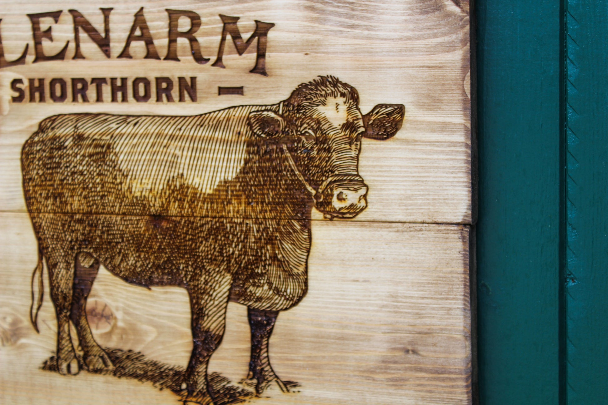 Glenarm Shorthorn Panel Art image 6